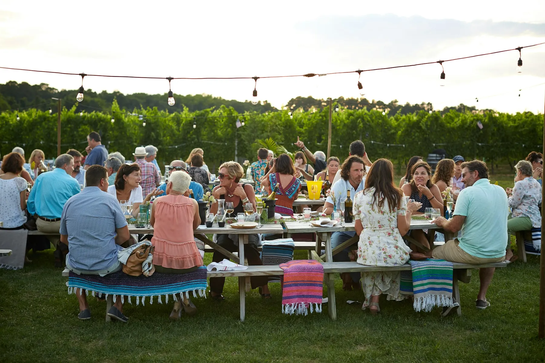 A big outdoor dinner at picnic tables under strung lights, with a vineyard behind and guests of all ages talking and laughing.