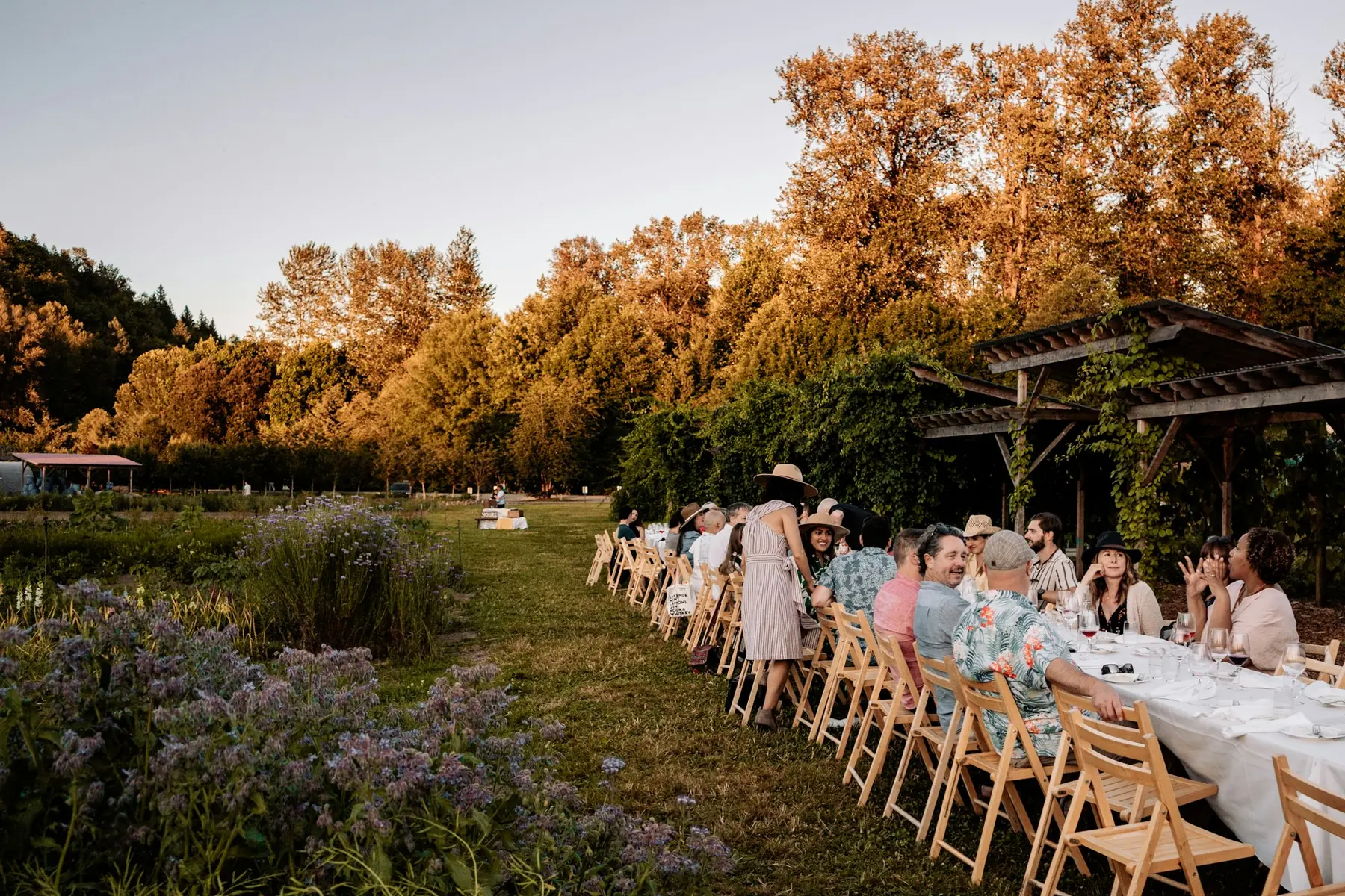 A long table set in a grassy field at golden hour, with a mixed-age group of people sharing a meal beneath tall trees and open sky.